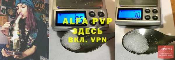 ГАЛЛЮЦИНОГЕННЫЕ ГРИБЫ Осташков