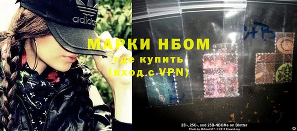 тгк Бикин