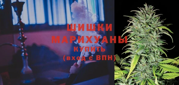 ГАЛЛЮЦИНОГЕННЫЕ ГРИБЫ Осташков