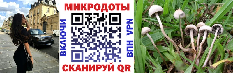 Псилоцибиновые грибы Cubensis  купить   Суоярви 